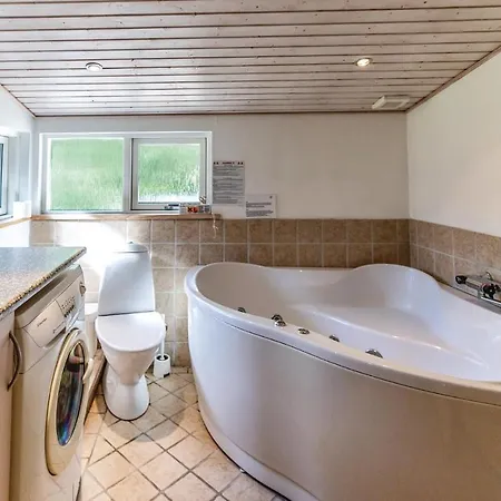 Ferienhaus Holiday Birkeager Iv *